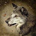 Noble