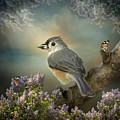 Tomas the Titmouse